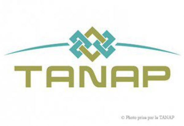 Consortium TANAP pour la création d'une société d'exploitation (Exclusif)