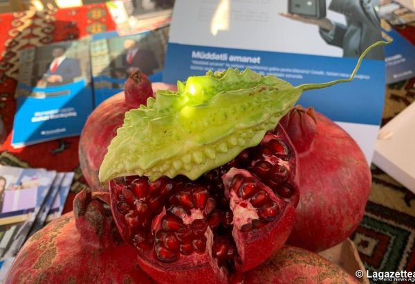 La grenade azerbaïdjanaise pénètre de nouveaux marchés