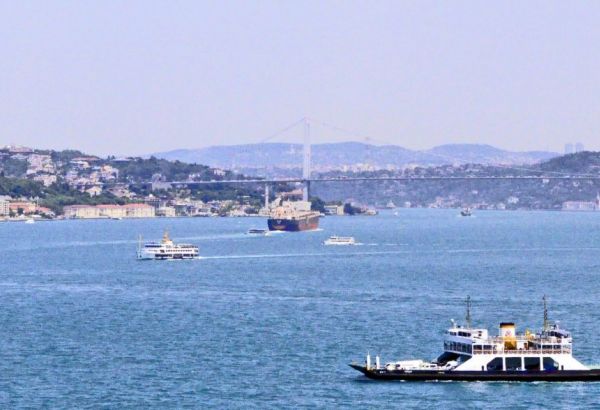 Près de 30 millions de tonnes de marchandises ont été transportées depuis la Russie via les ports de la Turquie