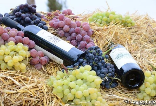 La cave de «Sheki Winery» ouvrira de nouvelles lignes de production en Azerbaïdjan