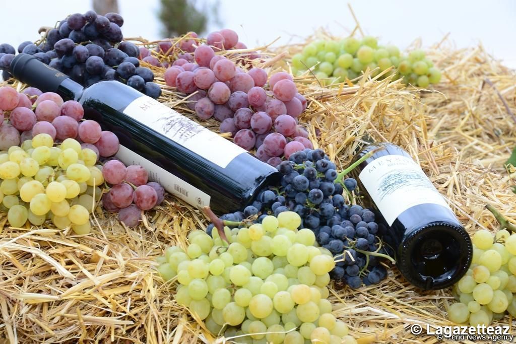 La cave de «Sheki Winery» ouvrira de nouvelles lignes de production en Azerbaïdjan