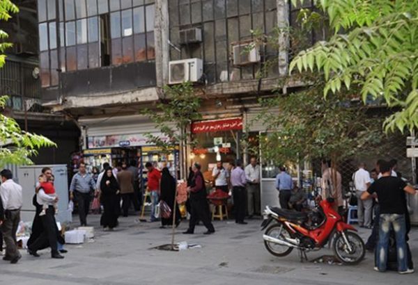 Les exportations de plantes médicinales de l'Iran ont atteint 500 millions de dollars