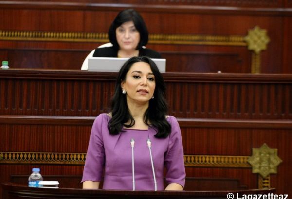L'ombudsman azerbaïdjanais a envoyé une déclaration aux organisations internationales concernant les provocations commises par les Arméniens contre les Azerbaïdjanais vivant dans les pays étrangers