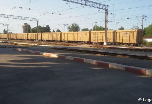 La Société « ADY Express » va transporter de nouveaux types de marchandises sur la ligne ferroviaire Russie-Azerbaïdjan-Géorgie-Turquie