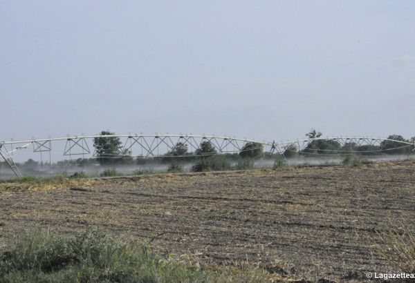 Le Ministère azerbaïdjanais de l'Agriculture : Les services agricoles seront plus accessibles pour les fermiers