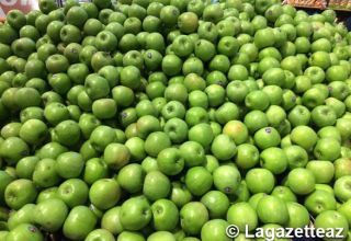 Les fruits et légumes représentent une part importante des exportations de produits non pétroliers de l'Azerbaïdjan