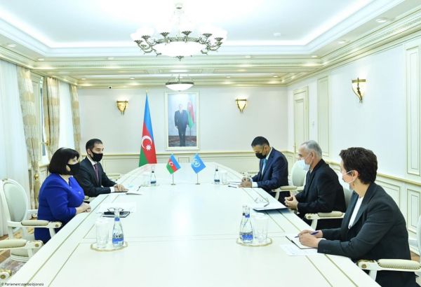 La présidente du parlement azerbaïdjanais a rencontré le coordinateur résident de l'ONU