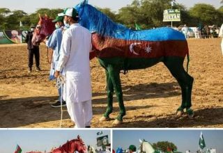 Un Festival à Khushab avec des chevaux peints aux couleurs des drapeaux de l'Azerbaïdjan, de la Turquie et du Pakistan (PHOTO/VIDEO)