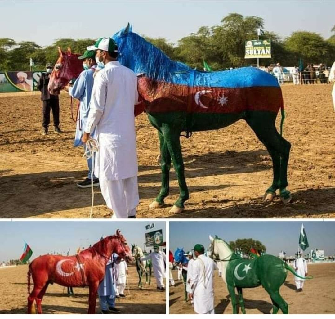 Un Festival à Khushab avec des chevaux peints aux couleurs des drapeaux de l'Azerbaïdjan, de la Turquie et du Pakistan (PHOTO/VIDEO)