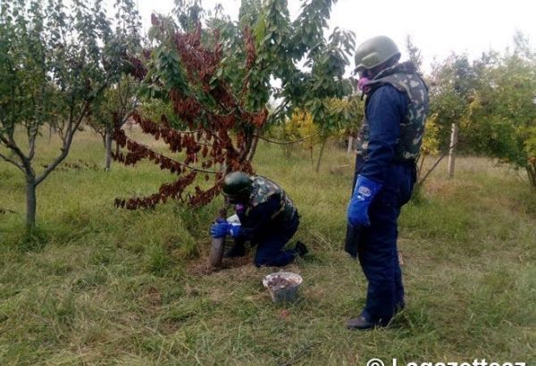 Les forces armées arméniennes ont lancé des bombes au phosphore sur la région de Terter (PHOTO)