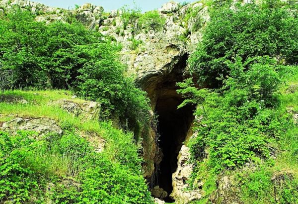 Les découvertes archéologiques de la grotte d'Azykh sont livrées à Bakou