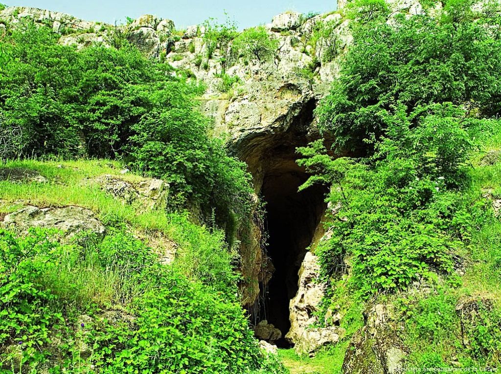 Les découvertes archéologiques de la grotte d'Azykh sont livrées à Bakou