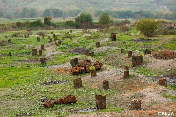 Karabagh : les Arméniens ont commis une terreur écologique sur les terres azerbaïdjanaises pendant leur occupation