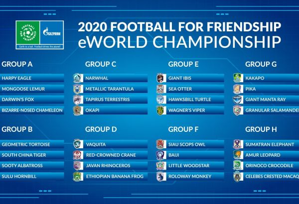 Roberto Carlos et les jeunes footballeurs azerbaïdjanais : se faire de nouveaux amis et avoir des impressions inoubliables