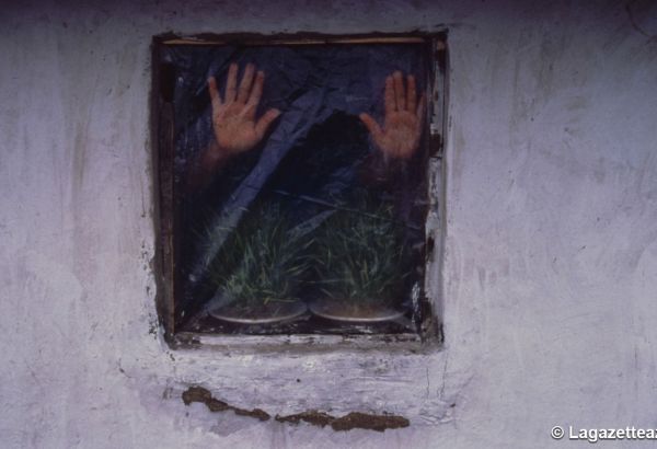 Azerbaïdjan : L´Espace d'Art contemporain « YARAT »  présente son projet d'exposition « Make an Island For Yourself »