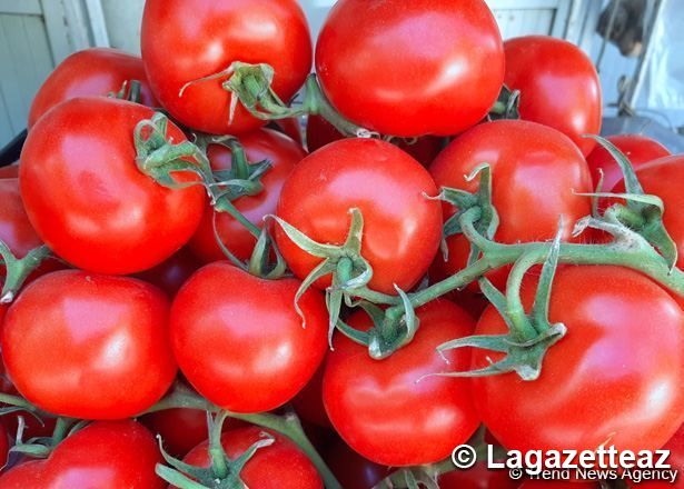 L'Agence azerbaïdjanaise de la Sécurité Alimentaire examine actuellement la question concernant l'interdiction temporaire des importations de tomates et de pommes de l'Azerbaïdjan par la Russie