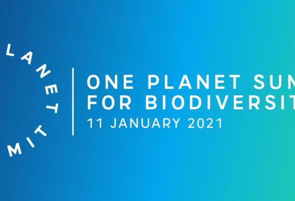 La France organise un One Planet Summit pour la biodiversité le 11 janvier 2021 à Paris