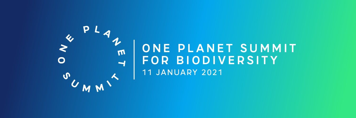 La France organise un One Planet Summit pour la biodiversité le 11 janvier 2021 à Paris