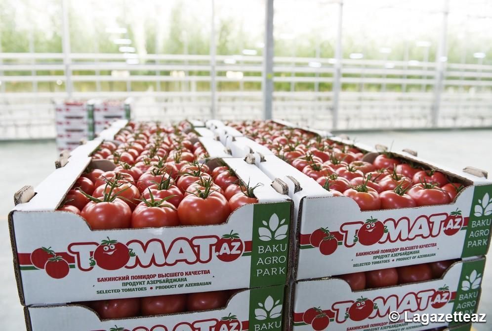 Les exportations de tomates depuis l'Azerbaïdjan vers le Kazakhstan ont repris