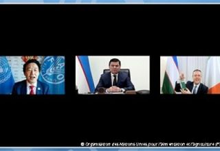 L´Ouzbékistan et la FAO discutent de l'utilisation rationnelle des ressources en terres et en eau