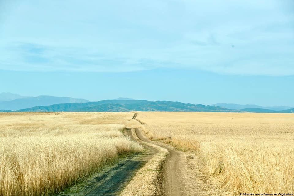 La Banque mondiale prévoit la croissance du secteur agricole en Azerbaïdjan dans les années à venir