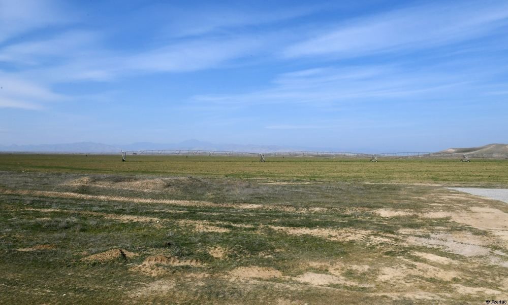 Slider Image 1