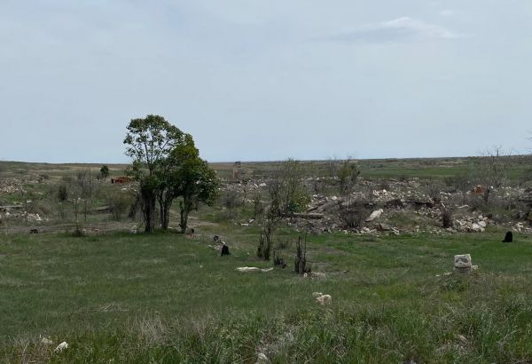 Nous nous efforcerons de soutenir l'Azerbaïdjan dans la restauration de ses territoires libérés, dit un représentant de l'Organisation de la coopération islamique (OCI)
