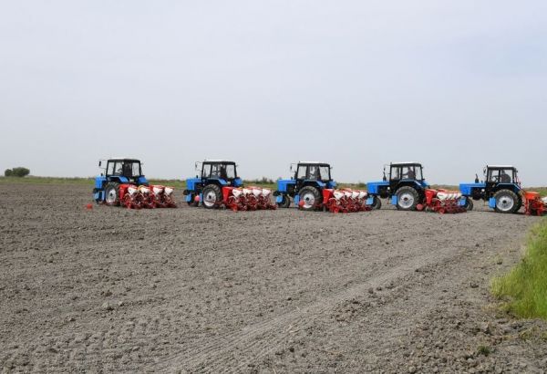 L´Allemagne met en œuvre un projet pilote dans le domaine de l'agriculture en Azerbaïdjan