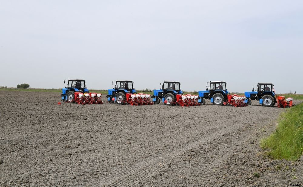 L´Allemagne met en œuvre un projet pilote dans le domaine de l'agriculture en Azerbaïdjan