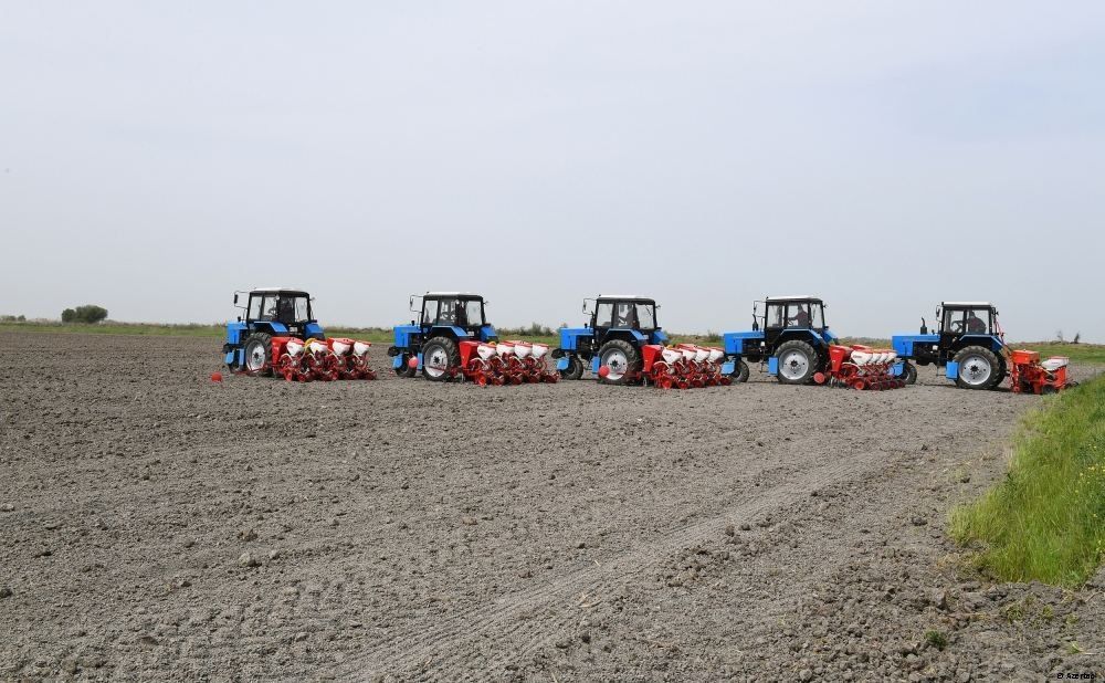 L'Ouzbékistan et le Royaume-Uni discutent de l'expansion des exportations agricoles