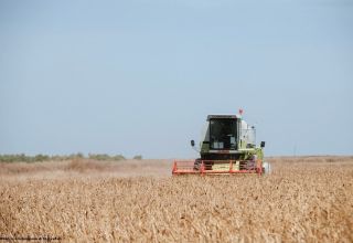 L'Azerbaïdjan et la Biélorussie conviennent d'élargir la gamme des approvisionnements en produits agricoles