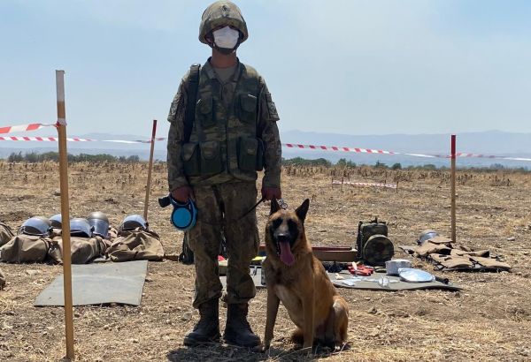 France-Azerbaïdjan: une éventuelle coopération sur les travaux du déminage au Karabagh