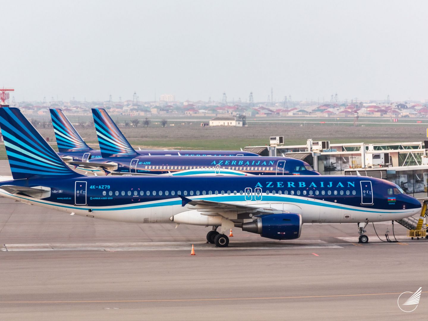Azerbaijan Airlines augmente la fréquence des vols réguliers Bakou-Tbilissi-Bakou