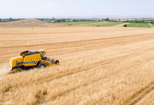 L'Azerbaïdjan et la Corée élargissent leur coopération pour l'introduction de la technologie « Smart Farming » dans l'agriculture