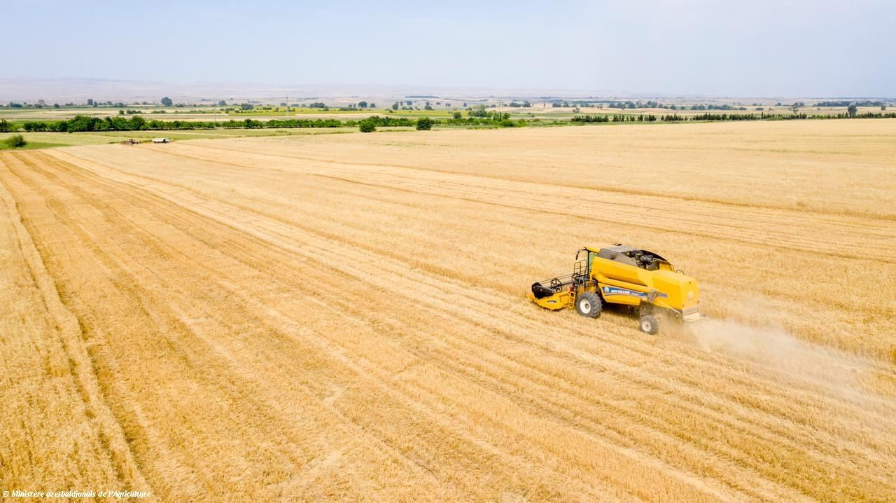 Les prix alimentaires mondiaux sont au plus haut depuis dix ans, affirme la FAO