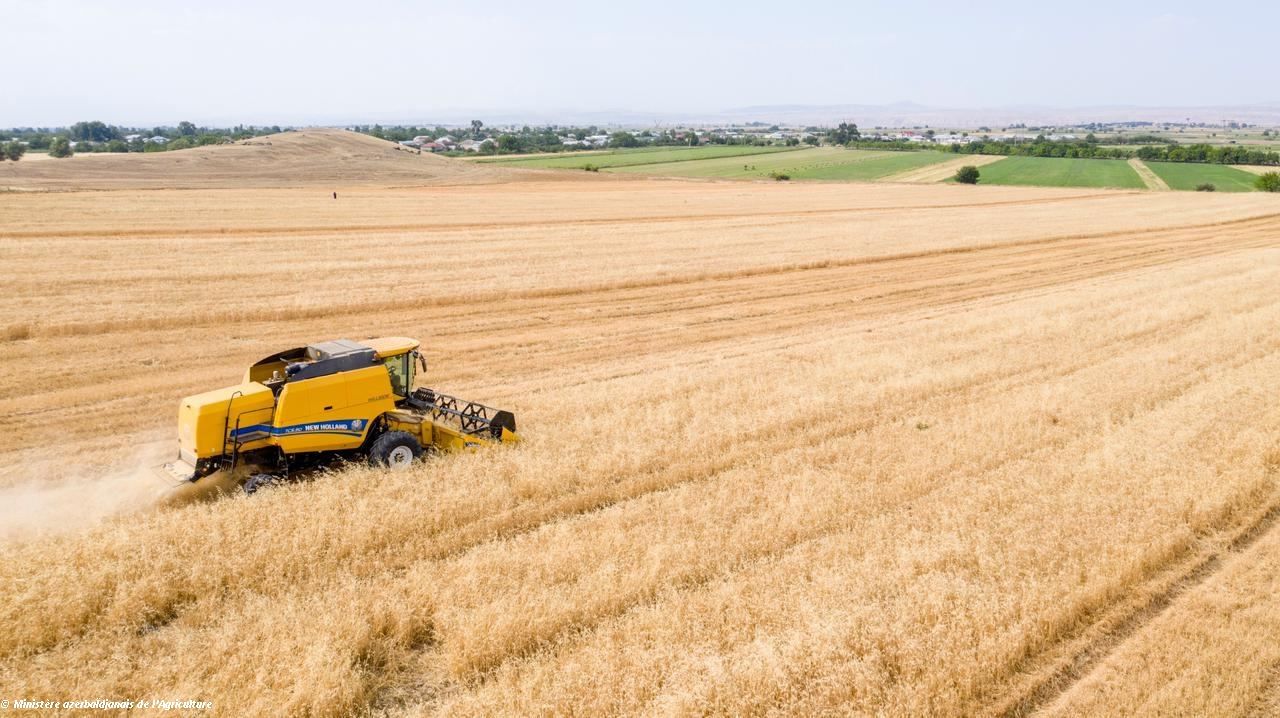 L'Azerbaïdjan et la Corée élargissent leur coopération pour l'introduction de la technologie « Smart Farming » dans l'agriculture