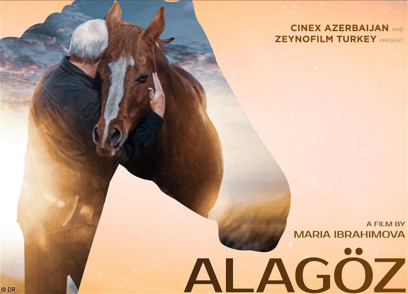 Le projet azerbaïdjanais « Alagöz » remporte le concours de pitch de l'Agence nationale du film d'Ukraine