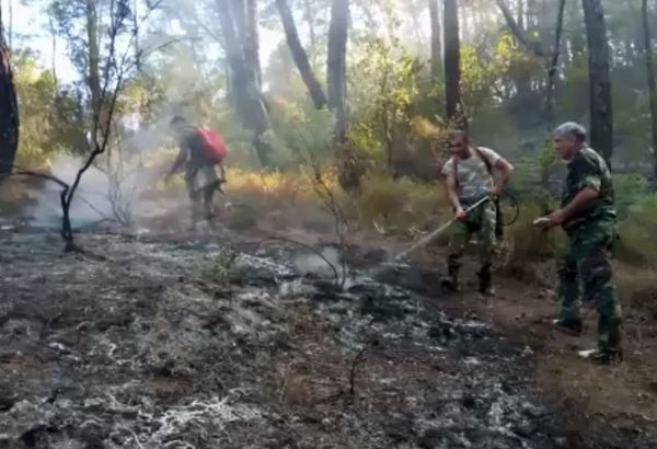 Les secouristes du Ministère azerbaïdjanais des Situations d'urgence participent à la lutte contre les incendies en Turquie