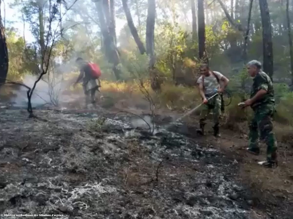 Les secouristes du Ministère azerbaïdjanais des Situations d'urgence participent à la lutte contre les incendies en Turquie