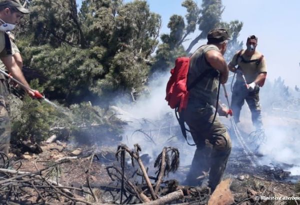Les pompiers azerbaïdjanais continuent de lutter contre les feux de forêt en Turquie