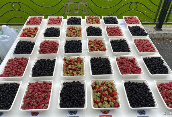 L'Azerbaïdjan travaille sur la promotion des produits locaux à l'étranger