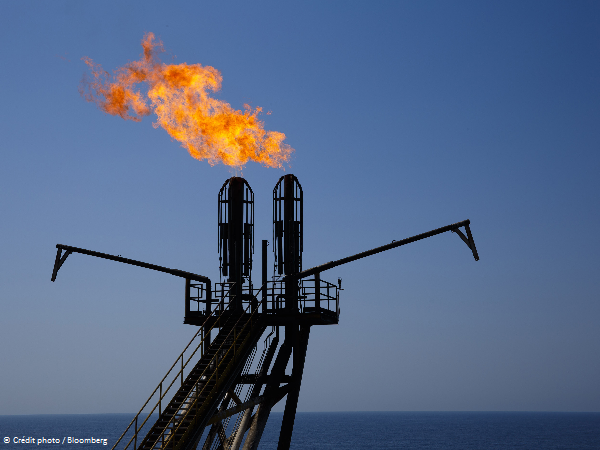 L'OPEP+ revoit à la hausse la croissance de la demande de pétrole en 2022