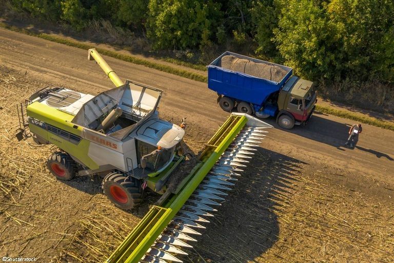 CÉRÉALES URKAINIENNES : PREMIÈRES EXPORTATIONS "DÈS CETTE SEMAINE"