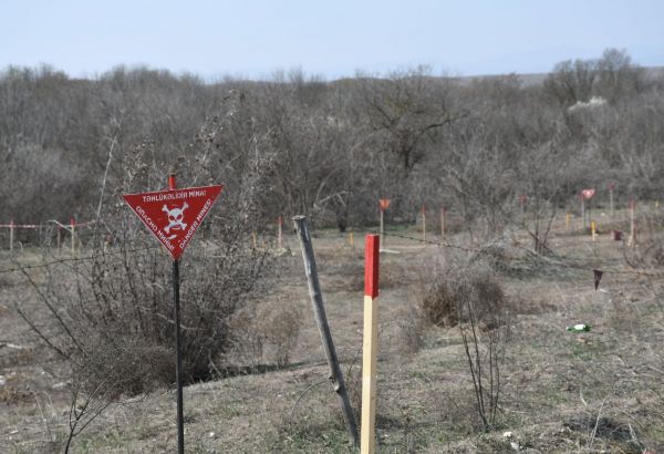 UNE RÉSOLUTION PROPOSÉE PAR L'AZERBAÏDJAN SUR LES MINES TERRESTRES EST ADOPTÉE À L'UNESCO