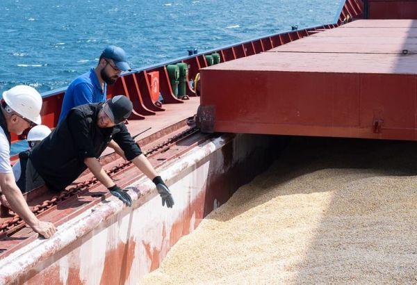 LA RUSSIE COMMENCERA À LIVRER DES CÉRÉALES À L'AFRIQUE DANS UN MOIS