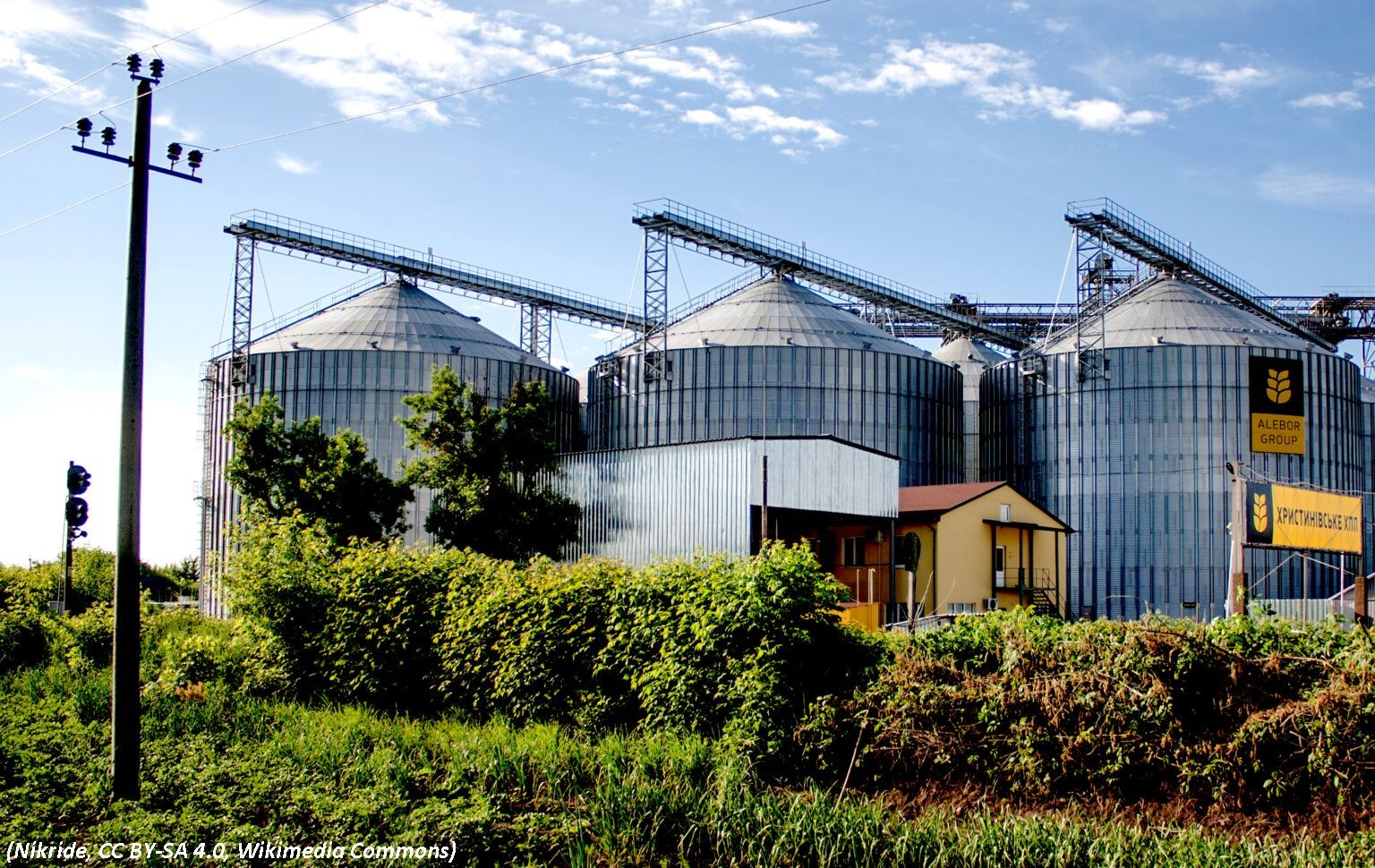 LA POLOGNE ET L'UKRAINE FONT UNE PERCÉE DANS L'EXPORTATION DE CÉRÉALES VERS LES PAYS TIERS