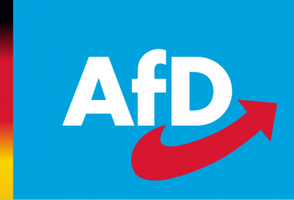 L'AFD, PARTI D'EXTRÊME DROITE, DEVANCE LES SOCIAUX-DÉMOCRATES EN ALLEMAGNE