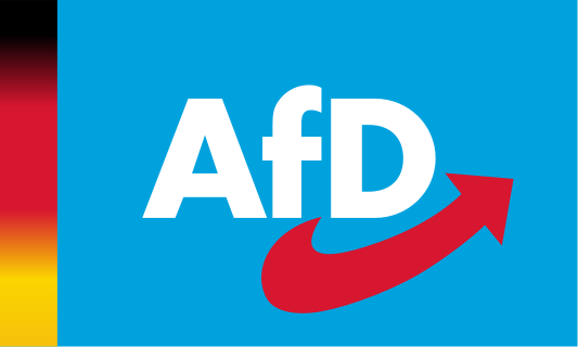 L'AFD, PARTI D'EXTRÊME DROITE, DEVANCE LES SOCIAUX-DÉMOCRATES EN ALLEMAGNE