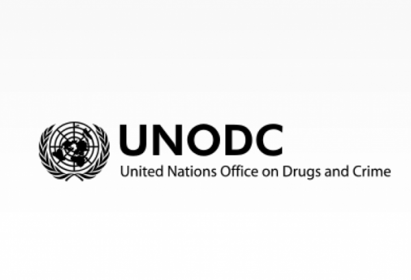 DAVANTAGE DE PERSONNES S'INJECTENT DES DROGUES DANS LE MONDE, SELON UN RAPPORT DES NATIONS UNIES