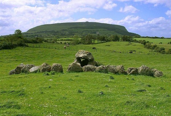 LA COUR DE JUSTICE DE L'UE CONDAMNE L'IRLANDE POUR NON-RESPECT DE LA LÉGISLATION SUR LA PROTECTION DE LA NATURE